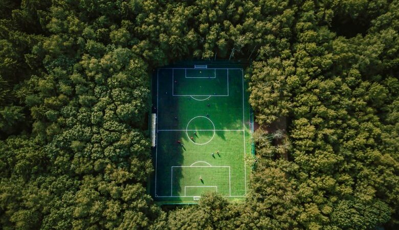 Campo di calcio (fonte: greenest.earth.com)